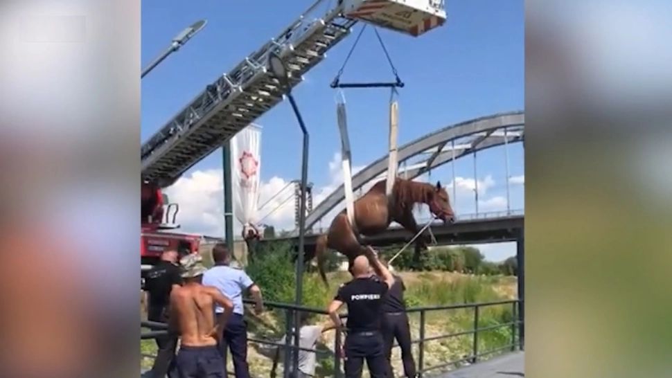 Un ponton abia inaugurat a cedat sub greutatea unui CAL, în jud. Alba. Investiția, peste 80.000 de euro - VIDEO