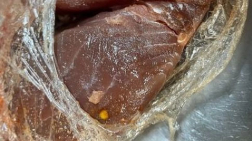 Primele controalelor tematice ale ANSVAS: amenzi de peste 1 milion de lei și peste 1.000 kg de carne și produse din carne confiscate