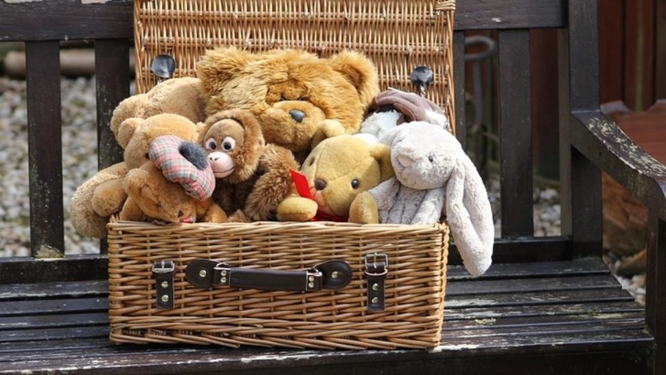 Gabriela Firea: Guvernul analizează creșterea alocațiilor pentru copii 