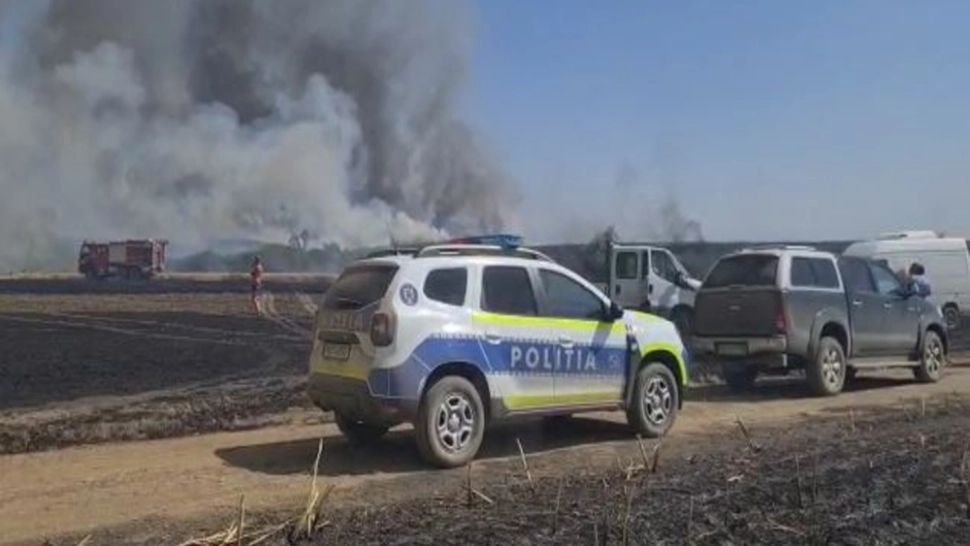 INCENDIU IMENS în județele Arad și Timiș: ard lanuri întregi de grâu - VIDEO