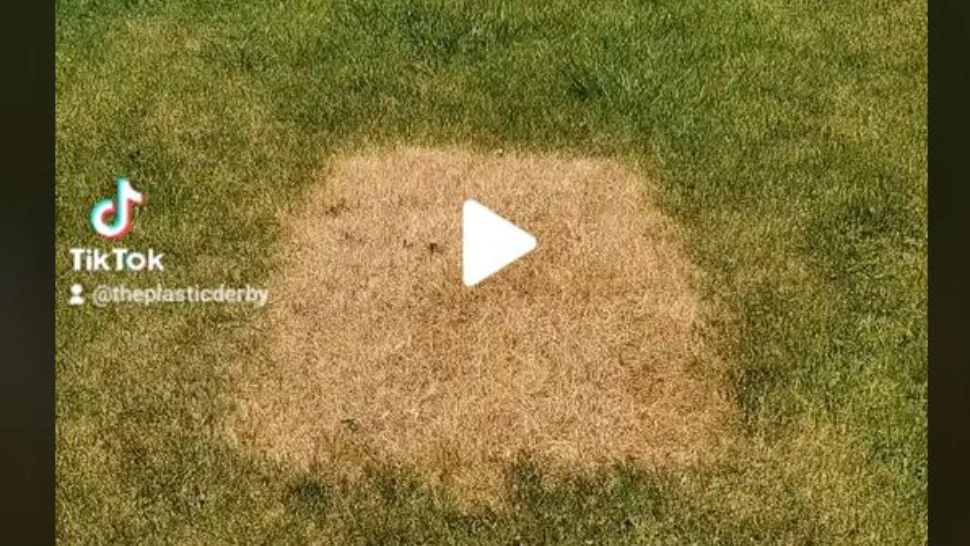 VIDEO – Iarba era uscată într-un loc din curte așa că s-a decis să sape pentru a află ce se află sub pământ – Surpriză uriașă