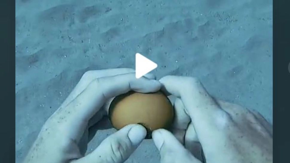 VIDEO – Experiment inedit al unui scafandru: a spart un ou de găină sub apă și ceva spectaculos s-a întâmplat