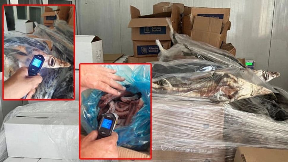 Alertă alimentară: sute de kilograme de pește stricat, descoperite de ANPC. Pericol uriaș pentru mii de turiști de pe litoral