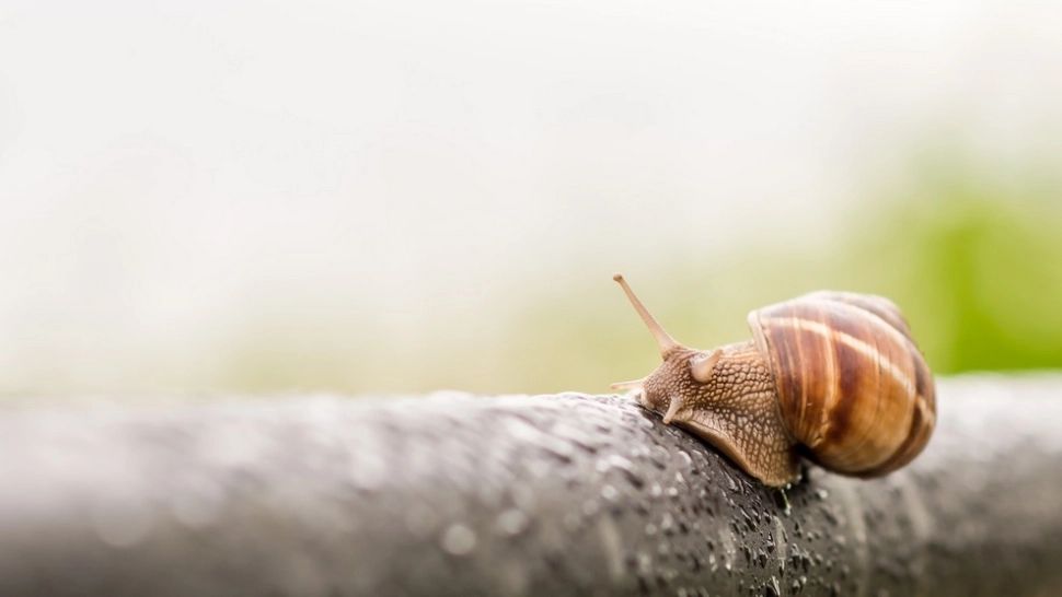 Prognoza meteo 10 iunie. Zonele lovite de grindină și vijelii