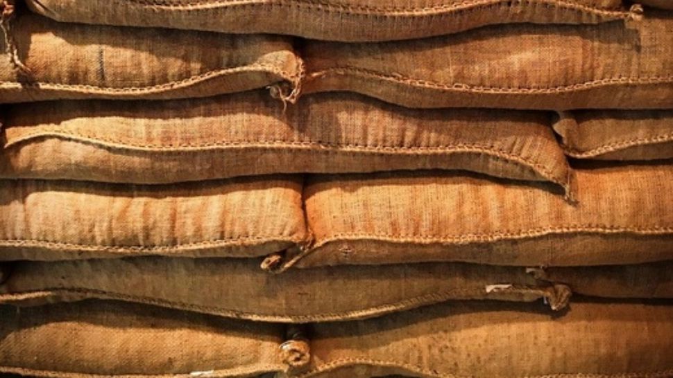 Consilier local din Iași, arestat preventiv. A furat de la o fermă aproape 1,7 tone de îngrășământ 