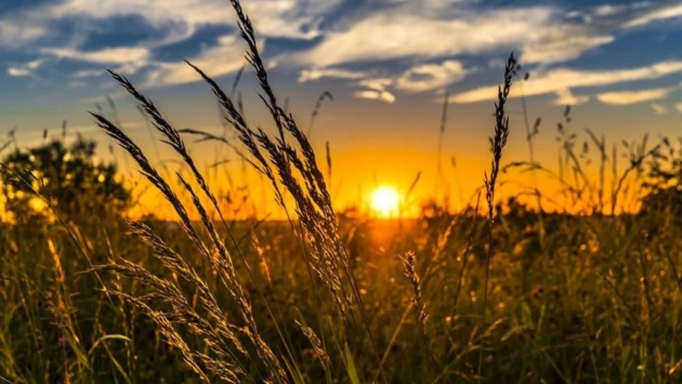 Prognoză meteo în București. Vreme caniculară în Capitală - Ce temperaturi vor fi până marți, 5 iulie