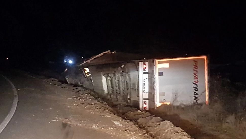 Un camion care transporta peste 400 de oi s-a răsturnat pe DN 1A - FOTO