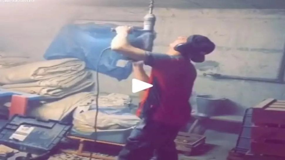 VIDEO – Dorel lovește din nou – A încercat să facă o gaură în tavan însă a ieșit un dezastru – Clipul a devenit viral