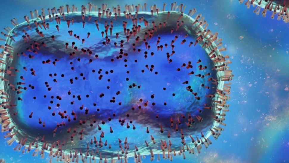 Europa este în alertă - peste 15.000 de cazuri de variola maimuței! EMA aprobă un vaccin pentru a stopa răspândirea bolii