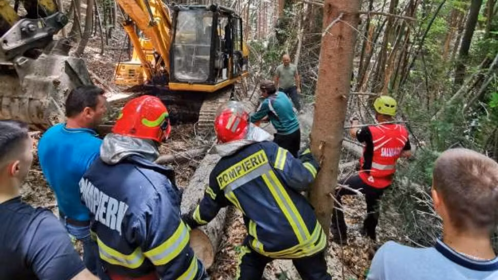 Incident tragic în Vâlcea. Un bărbat a murit după ce un copac s-a prăbușit peste el