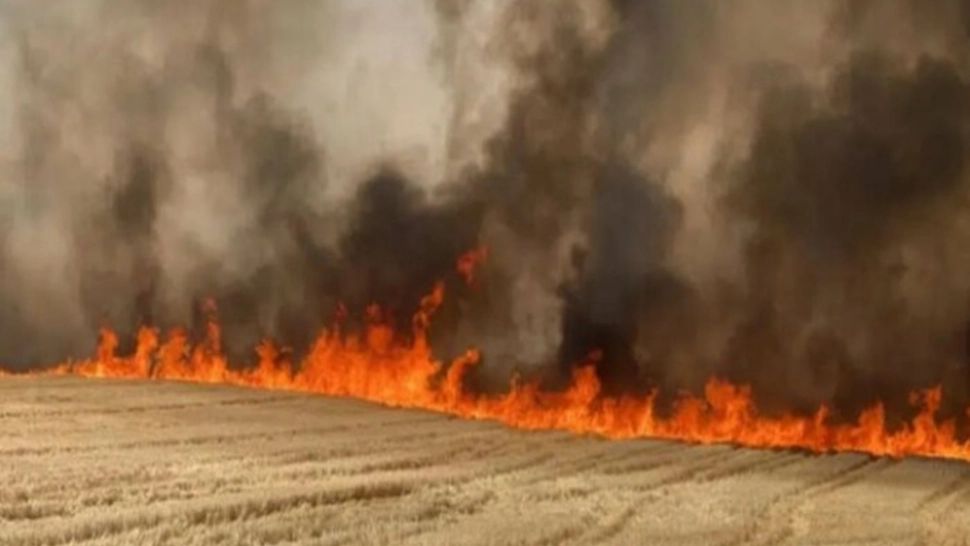INCENDIU în Prahova: ard 3 hectare dintr-un lan de grâu!