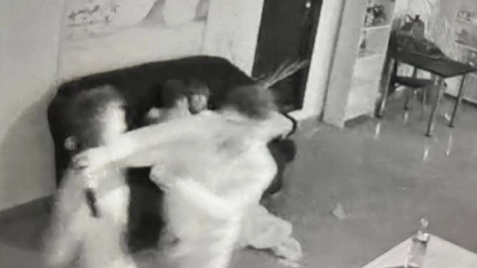 Hostel de lângă Buzău, devastat de un grup de tineri, după o petrecere de majorat - VIDEO&FOTO