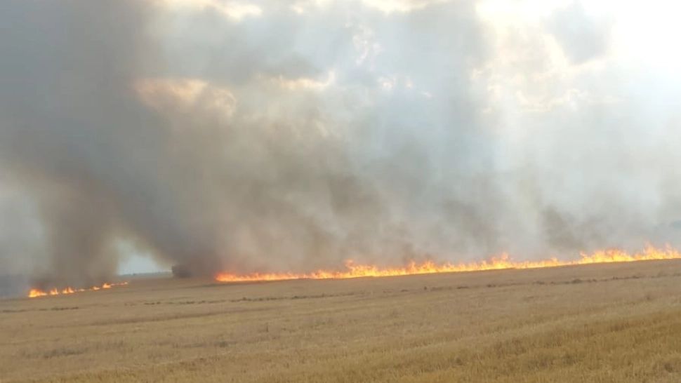 Incendiu devastator într-o cunoscută zonă vinicolă din Prahova. Au ars 10 hectare de vegetație uscată, dar și viță de vie