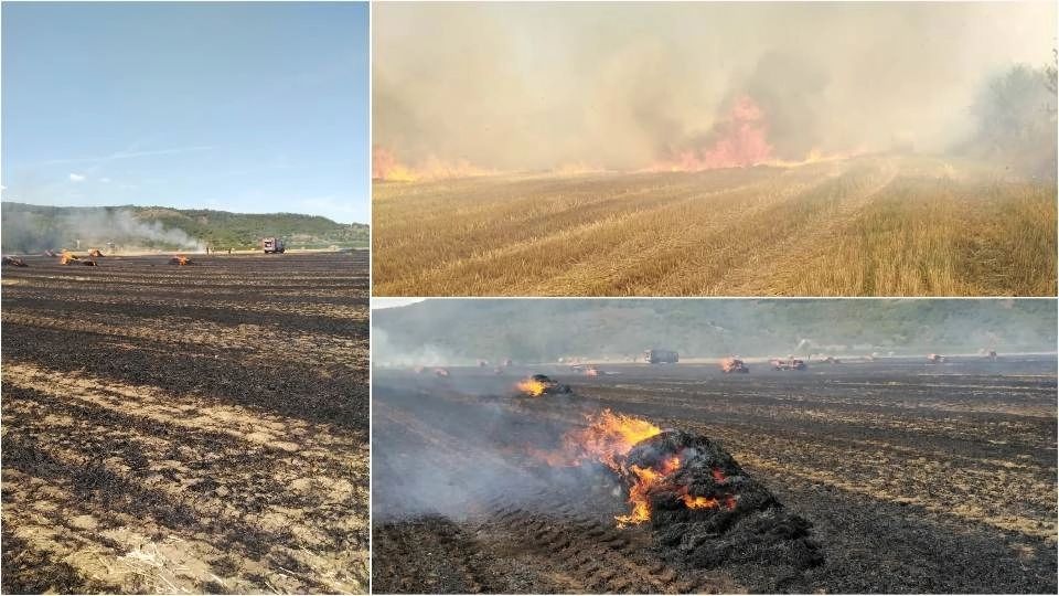 Secetă în România. Ministerul Mediului, cu ochii pe incendiile din păduri și miriști. Fără foc pe pajiști