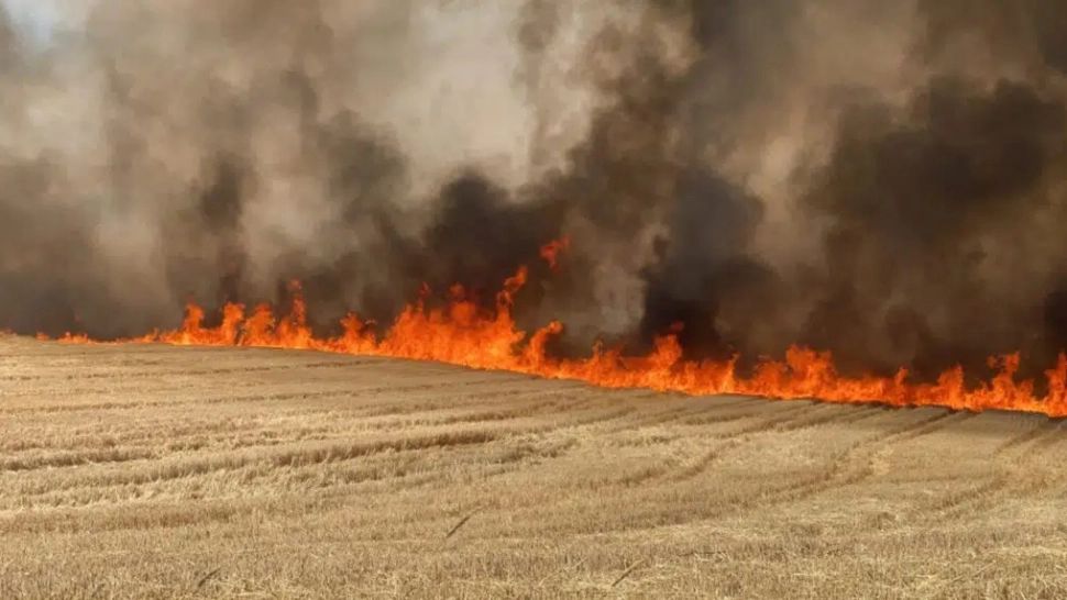 Coumună de pe DN1, devastată de incendii. Au ars aproape 60 de hectare de vegetație