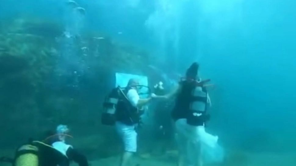 Nuntă de neuitat. Doi miri și-au jurat iubirea la 6 metri sub apă - VIDEO