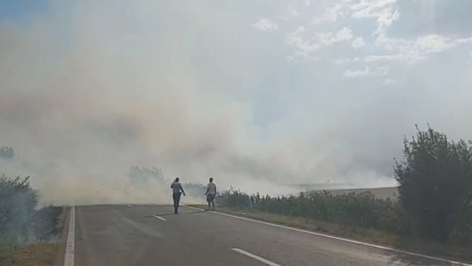 INCENDIU MASIV de vegetație lângă DN1! Intervenție dificilă a pompierilor