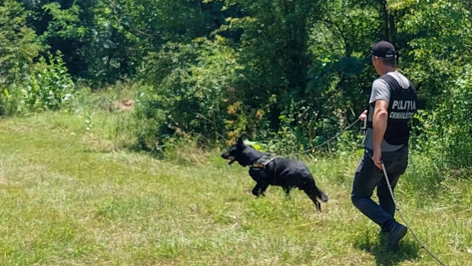 FEMEI dispărute, căutate de zile întregi în Gorj și Dolj - Operațiune amplă cu DRONĂ și câini polițiști la sfârșit de săptămână
