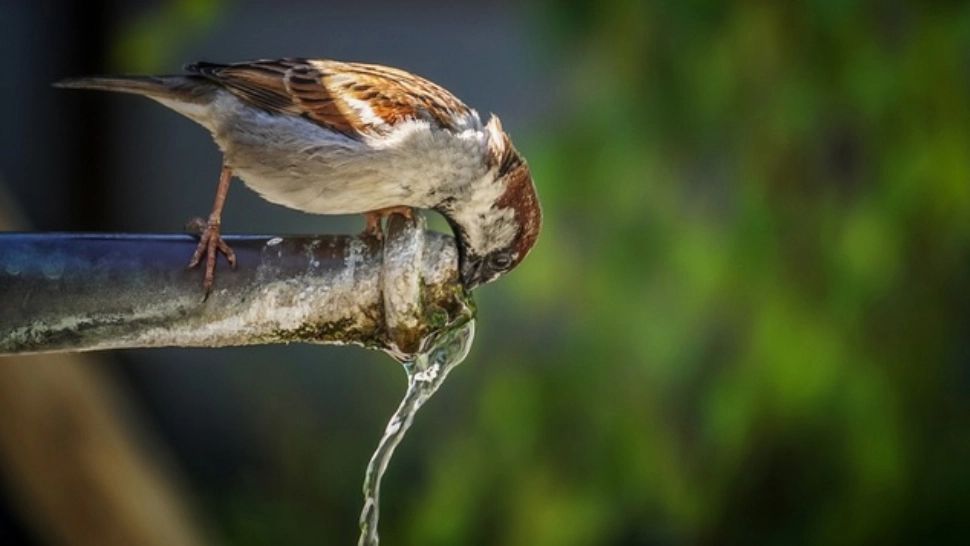 Semnal de ALARMĂ tras de Apele Române! Rezerva de apă e în SCĂDERE: CONSUM RESTRICȚIONAT în peste 200 de localități din 17 județe 
