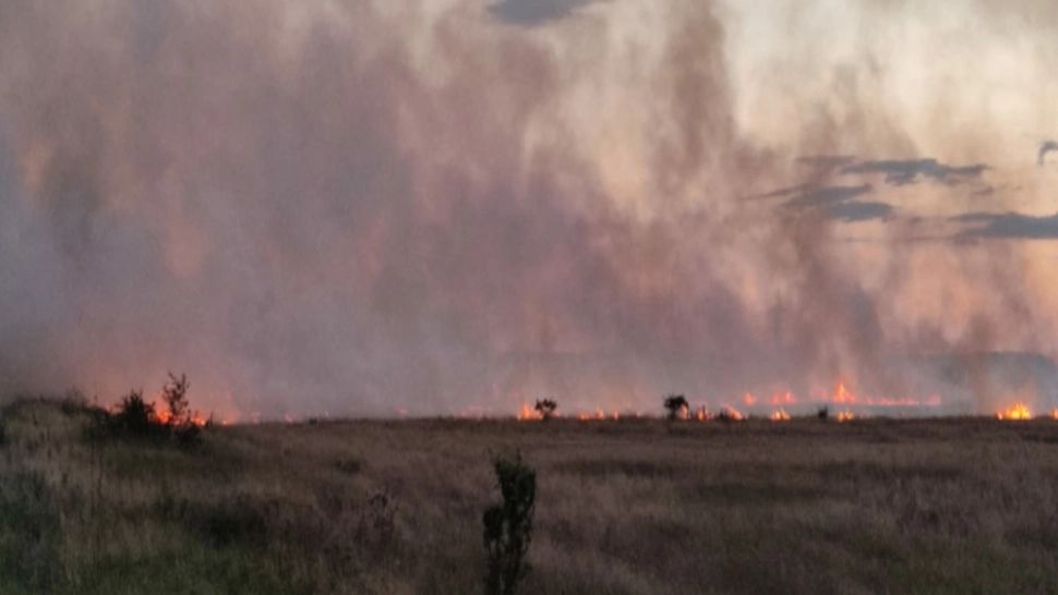 INCENDIU MASIV în județul Olt: 10 hectare de vegetație și un hectar de lan de grâu, mistuite de FLĂCĂRI - VIDEO