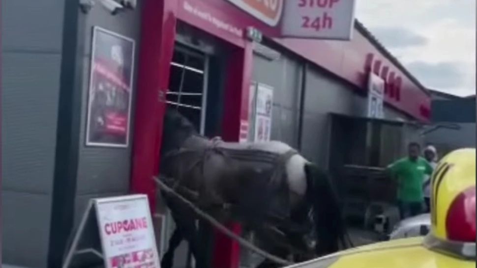 S-a supărat pe polițiști și a intrat cu căruța în magazin - VIDEO VIRAL 
