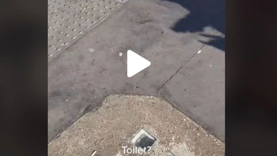 VIDEO – Absolut uluitor ce era ascuns sub o gură de canalizare, în mijlocul orașului – Un trecător a filmat totul prin găurile scurgerii