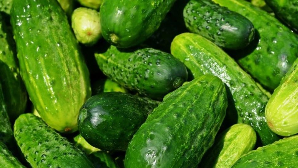 Greșeala uriașă pe care o faci când mănânci castraveții CU COAJĂ