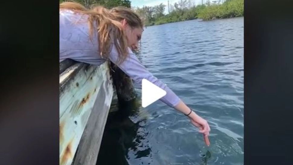 VIDEO – A ținut un crenvurști deasupra apei și ceva fabulos s-a întâmplat – Dacă nu era filmat nu ar fi crezut nimeni