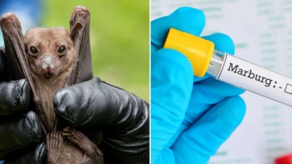 Alertă pe glob: Virusul mortal Marburg face primele VICTIME - Care sunt simptomele - NU există tratament. HARTA răspândirii