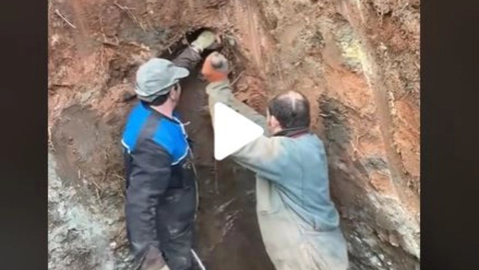 VIDEO – Muncitorii au auzit un zgomot ciudat în timp ce săpau cu excavatorul – Când și-au dat seama despre ce e vorba, s-au oprit imediat