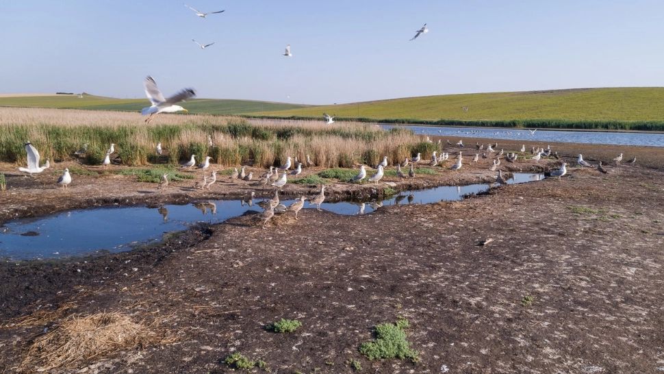 Secetă România. Fără precedent în ultimii 70 de ani: Dunărea a scăzut cu 7 centimetri într-o zi 