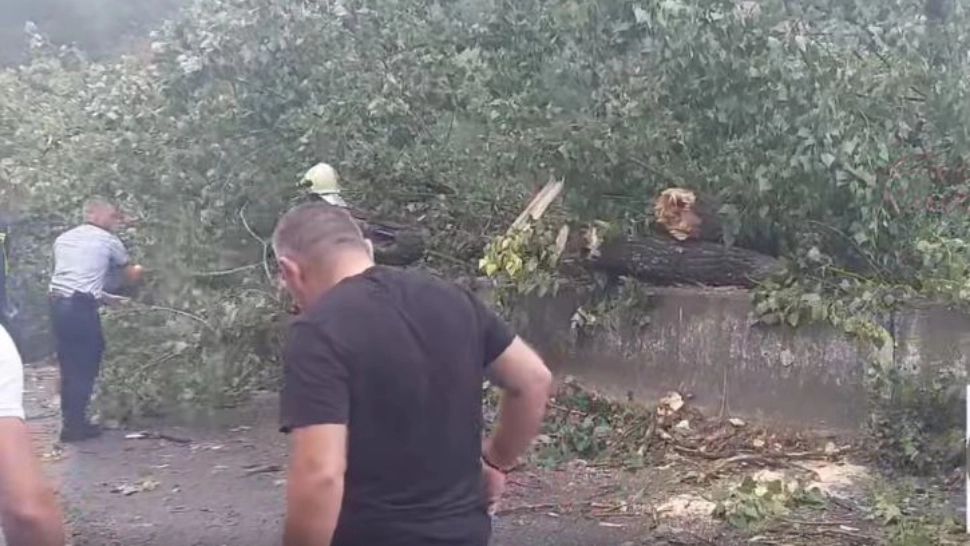VIDEO | Cod roșu de furtuni. Vijeliile au făcut prăpăd în țară