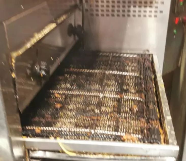 Carne și produse expirate de trei ani au fost descoperite de ANPC în Costinești