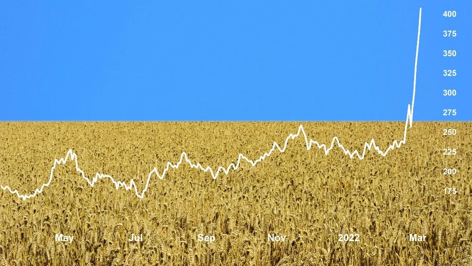 Cotațiile la grâu, în scădere. Rușii exportă cereale furate de la ucraineni