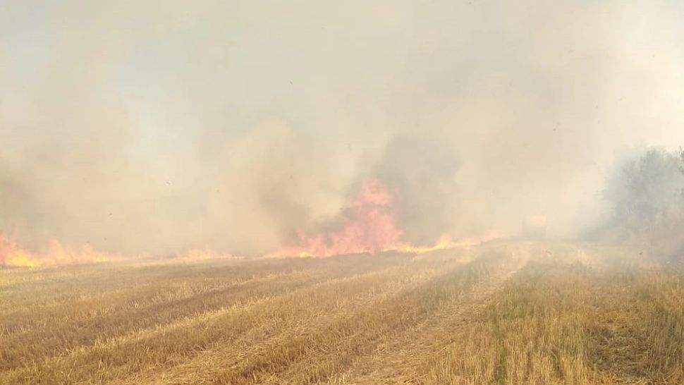 Incendiu uriaș în Alba. Un utilaj agricol a luat foc, ard 10.000 de metri pătrați. Pompierii intervin de urgență - FOTO&VIDEO
