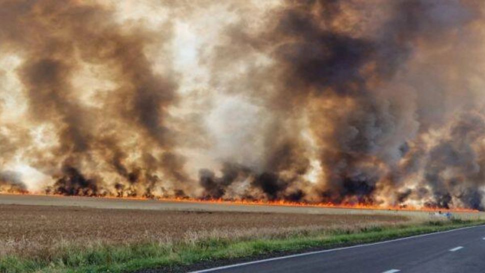 Incendiu devastator în Timiș: ard zeci de hectare de grâu, coloane de fum vizibile de la distanță VIDEO/FOTO