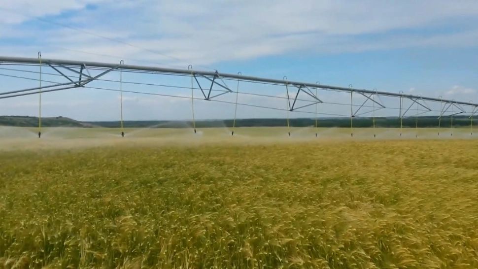 SECETĂ EXTREMĂ: Irigațiile din Bărăgan, la pământ! Nivelul Dunării a ajuns la un minim istoric