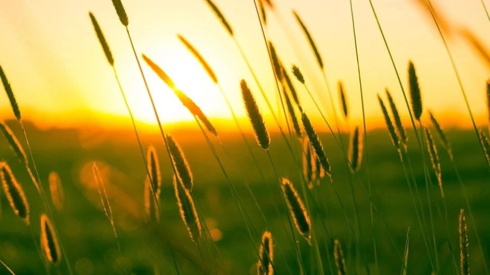 Prognoza meteo pe 2 săptămâni. Cum va fi vremea în țară până la jumătatea lunii august