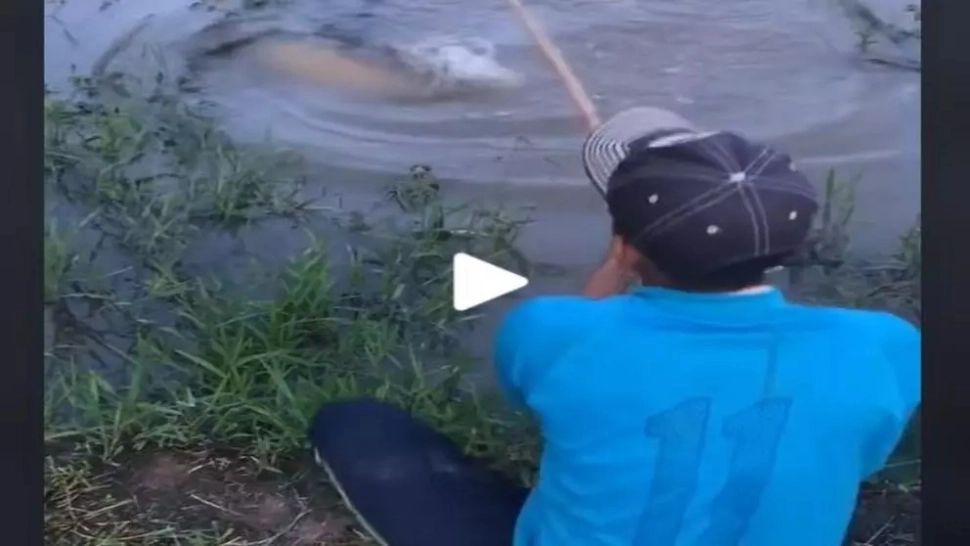 VIDEO – Stătea liniștit pe marginea bălții, la pescuit, când un monstru l-a tras în apă și era să moară înecat