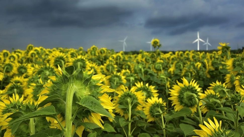 Prognoza meteo 7 iulie. Temperaturile scad drastic. Cod portocaliu de vreme instabilă - furtuni cu grindină și vijelii