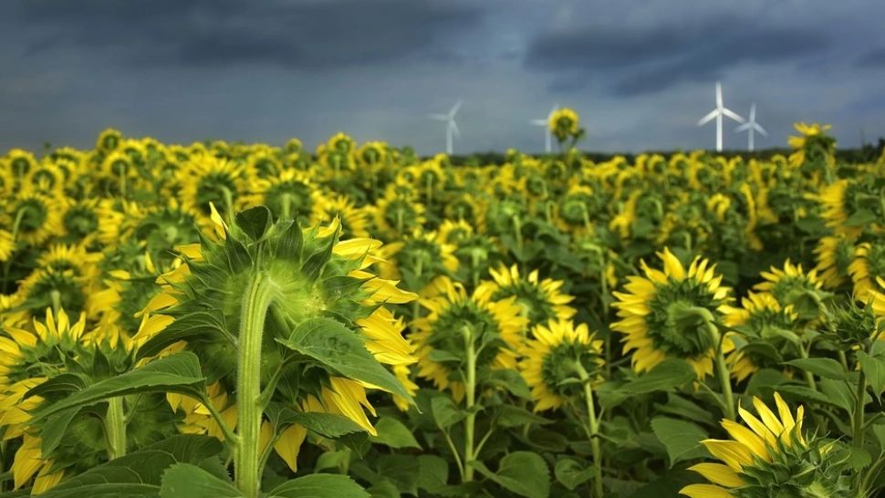 Prognoza meteo 11 iulie - vremea, în răcire. Zonele lovite de vijelii puternice