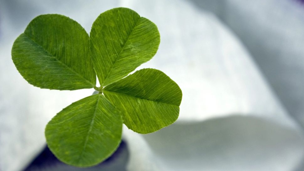 Zodiile care dau de bani până la sfârșitul anului 2022. Câștiguri fabuloase, efort minim 