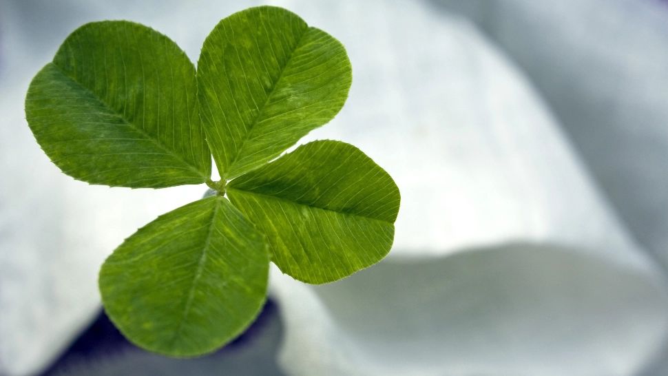 Horoscop 28 iulie. Bucurii și beneficii pentru toate zodiile. Ziua în care toate dorințele se împlinesc