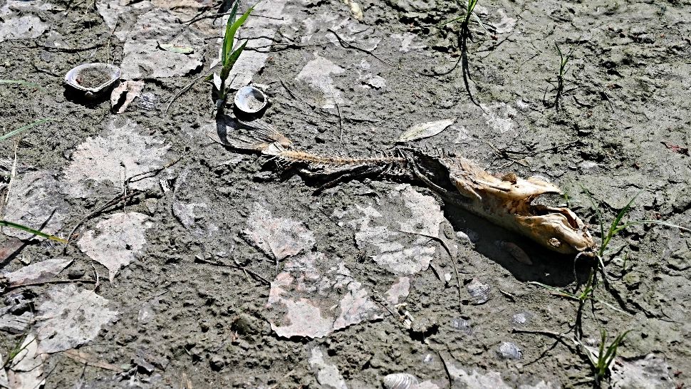 Italia, pârjolită de SECETĂ ISTORICĂ. Stare de urgență, apa nu mai este suficientă nici pentru oameni/FOTO