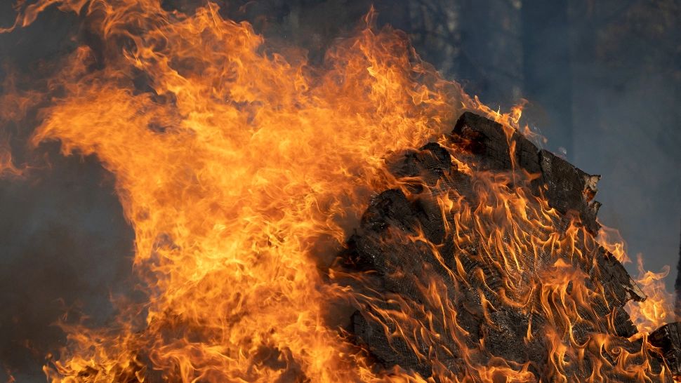 Stare de urgență în California din cauza incendiului de vegetație care amenință Parcul Național Yosemite - VIDEO
