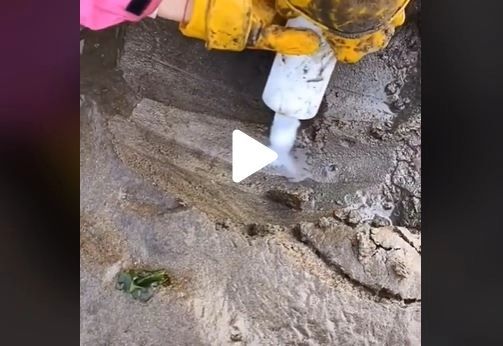 VIDEO - A pus sare pe malul mării și apoi a început să sape - Uluitor ce a reușit să scoată din nisipul umed