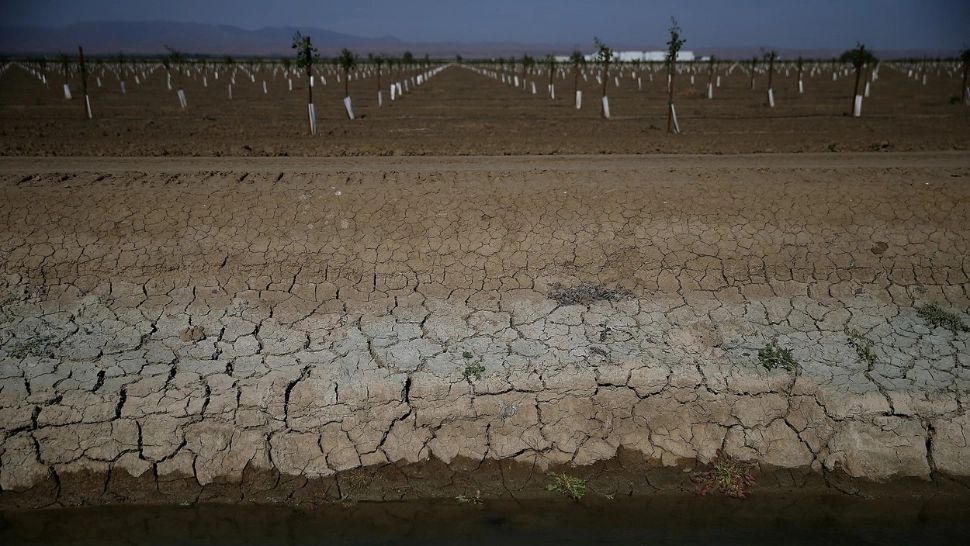Secetă în România. Care este suprafața toată agricolă lovită de secetă și ce județe au fost cel mai afectate