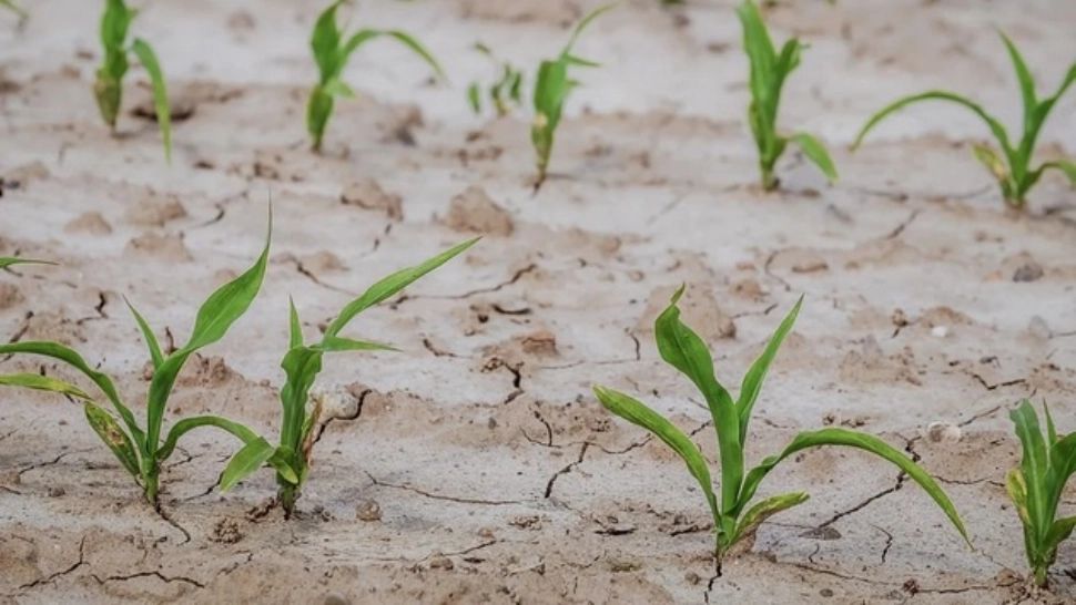 Primar din Gorj, recompense pentru cei care își denunță consătenii că fură apă: Hoții de apă nu sunt prietenii noștri!