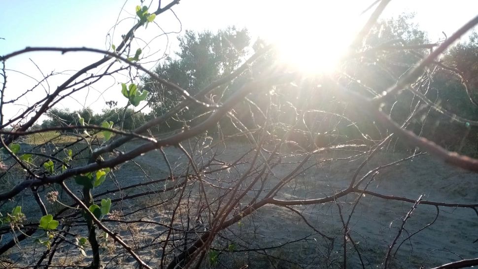 Septembrie 2023, la fel de călduros ca o lună august din trecut. Moldova, amenințată de secetă severă