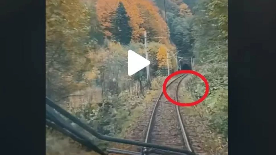 VIDEO – Mecanicul locomotivei a filmat drumul, din cabină, pe Valea Prahovei – Surpriză, ce i-a apărut brusc în cale